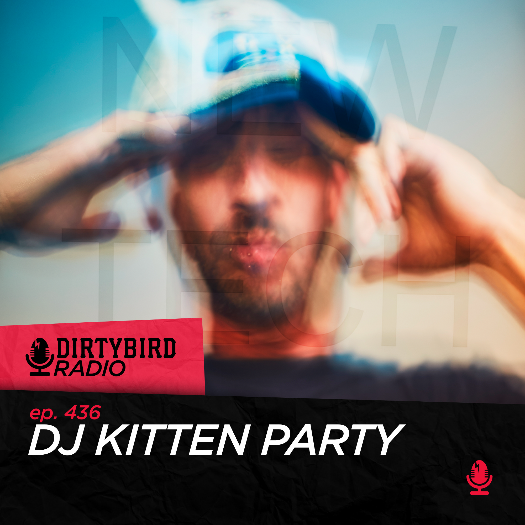 Dirtybird Radio 436 - DJ Kitten Party