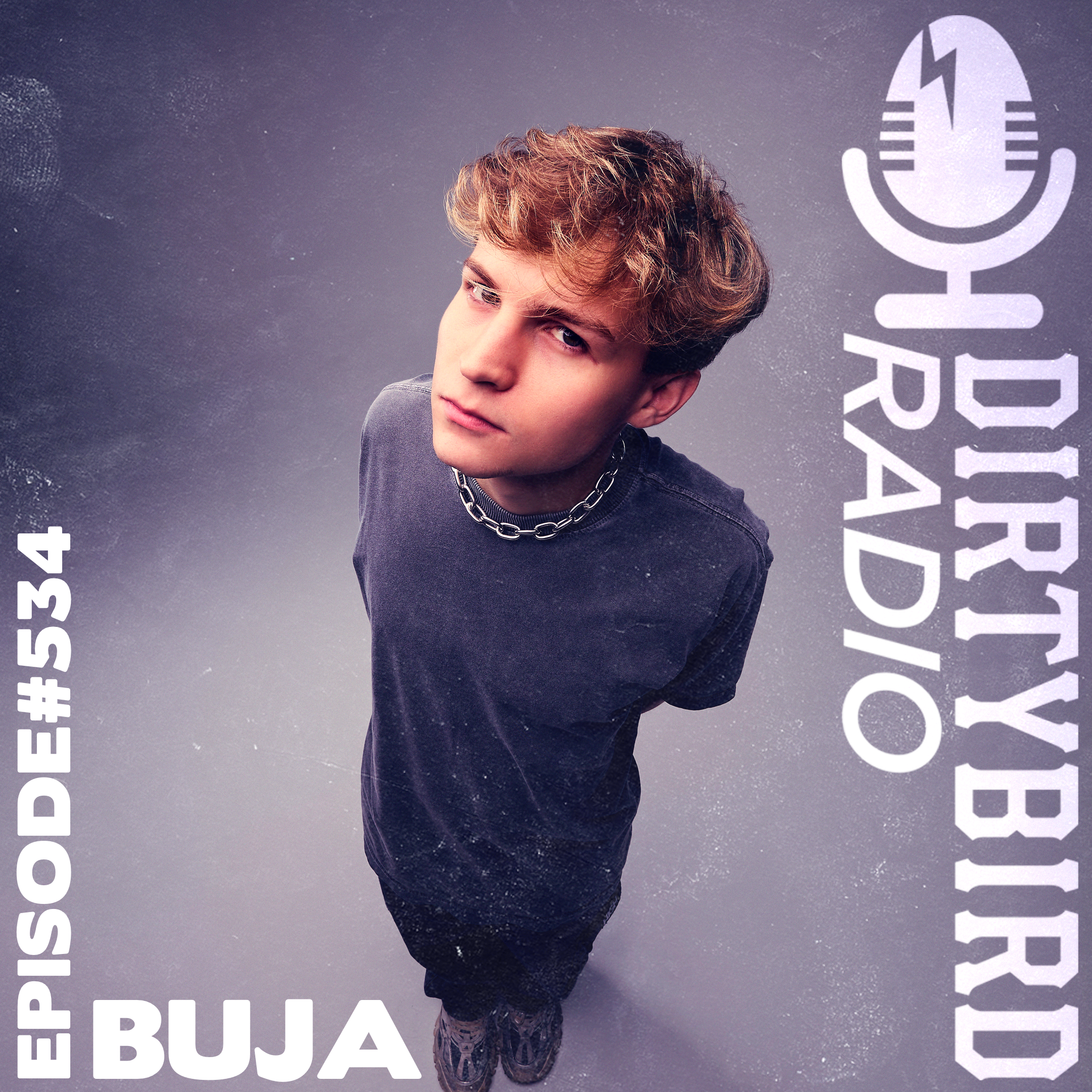 Dirtybird Radio 534 - BUJA episode artwork