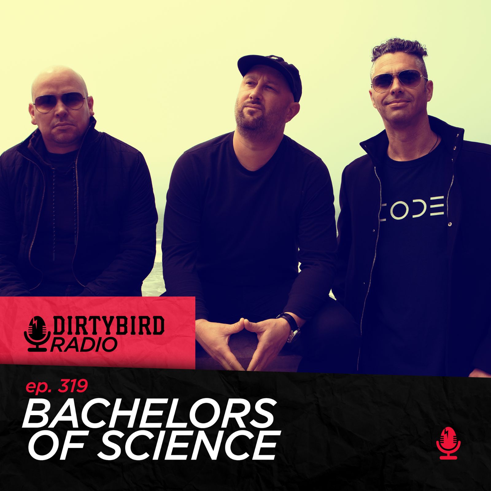 Dirtybird Radio