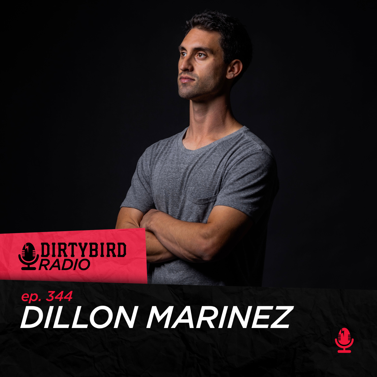 Dirtybird Radio 344 - Dillon Marinez