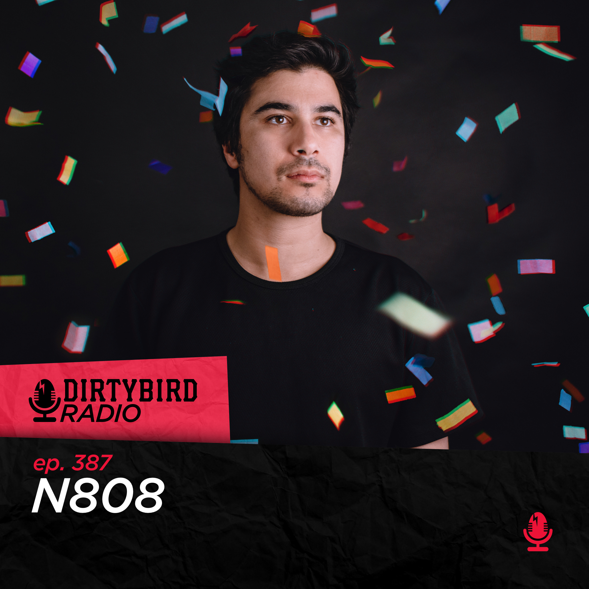 Dirtybird Radio 387 - N808